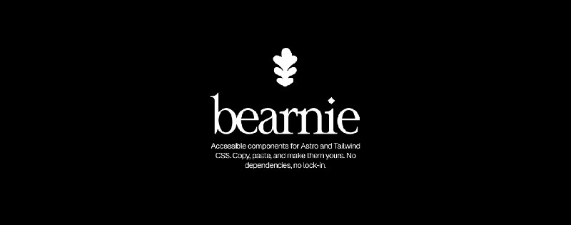 Introduction | Bearnie