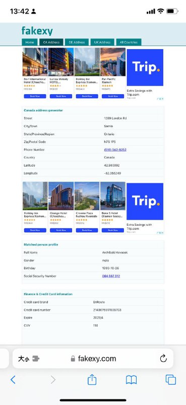 美国虚拟地址生成器，刷新一次就是一个新地址，还包括社会安全码和CVV等～